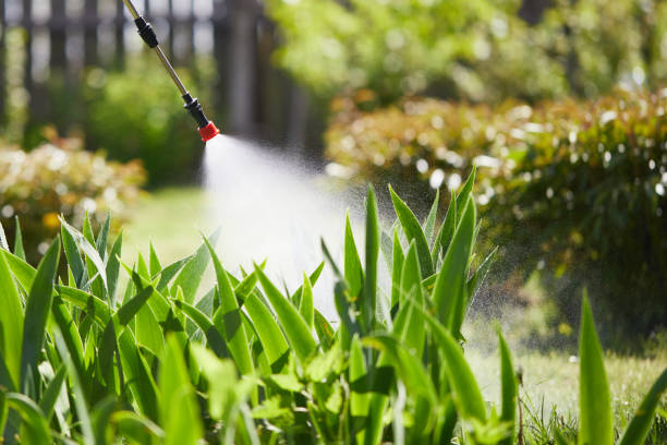 24/7 Emergency Mosquito Control experts in South Pittsburg, TN