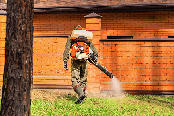 Top rated local Mosquito Control specialists in South Pittsburg, TN